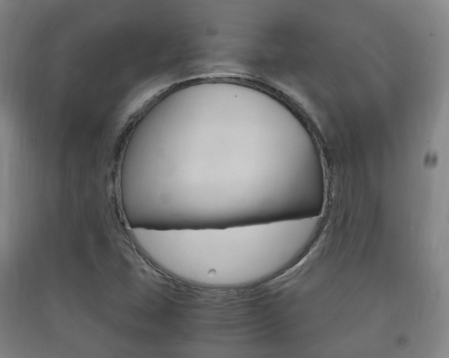 X0000091451407200708161037