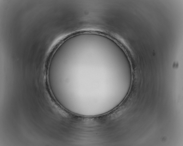X0000091451408200708161037