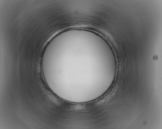X0000091451409200708161037