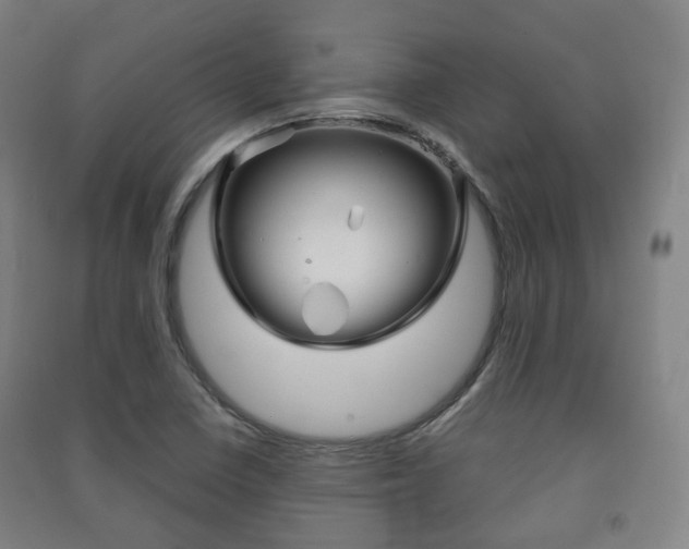 X0000091451410200708161037