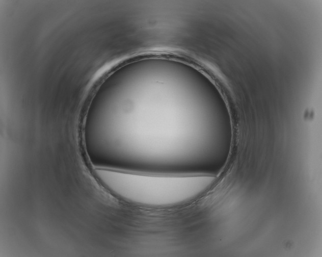 X0000091451412200708161037