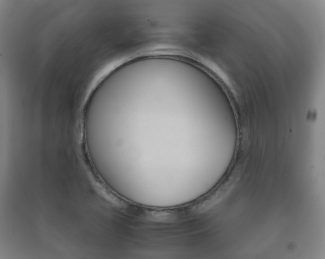 X0000091451413200708161037