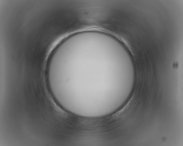 X0000091451414200708161037