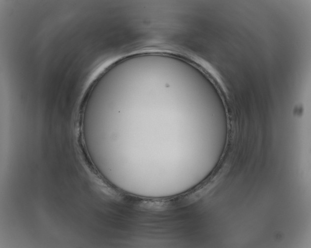 X0000091451415200708161037