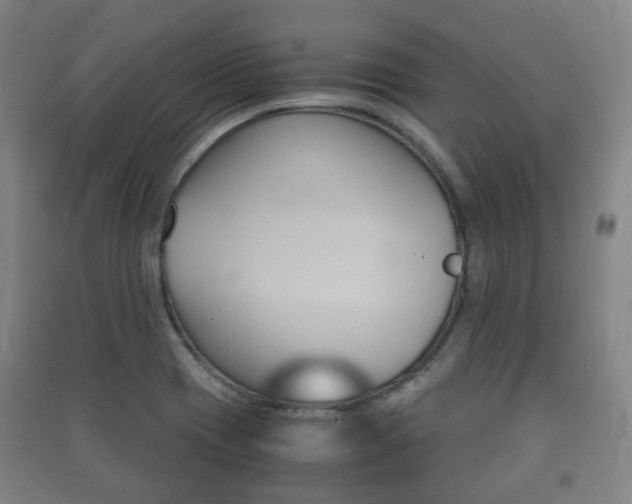 X0000091451417200708161037