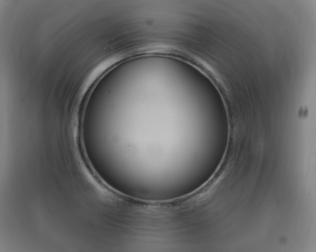 X0000091451418200708161037
