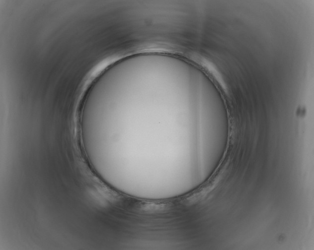 X0000091451419200708161037