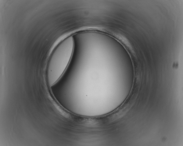 X0000091451420200708161037