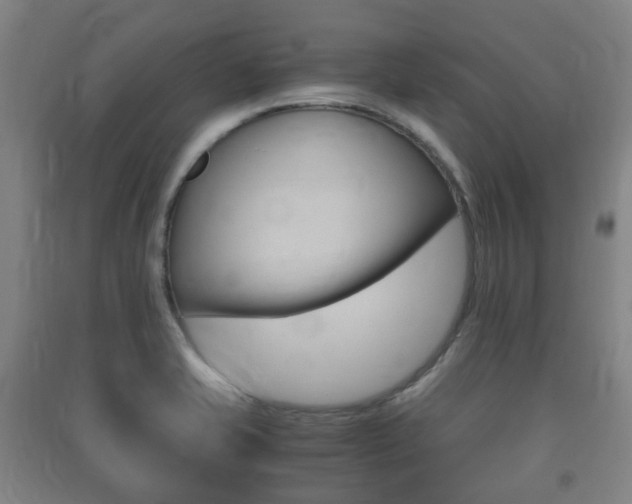 X0000091451421200708161037