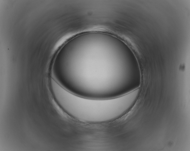 X0000091451422200708161037
