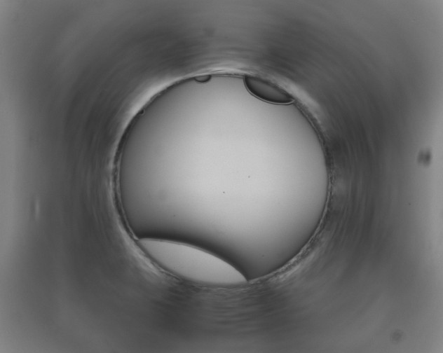 X0000091451423200708161037