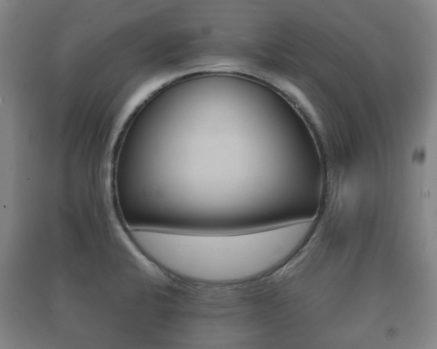 X0000091451424200708161037