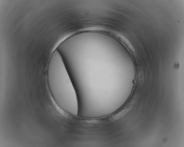 X0000091451425200708161038