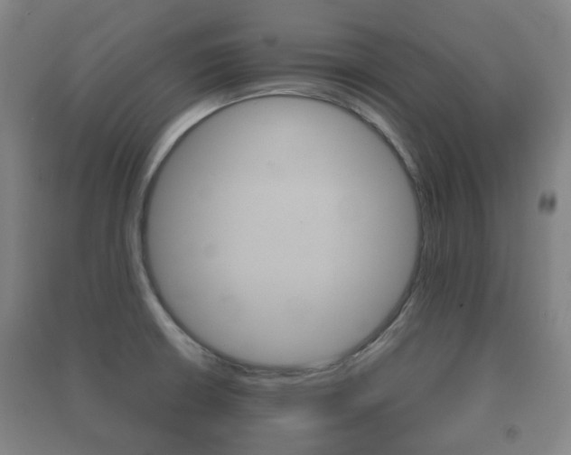 X0000091451426200708161038