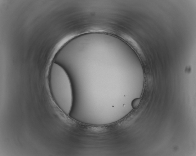X0000091451427200708161038