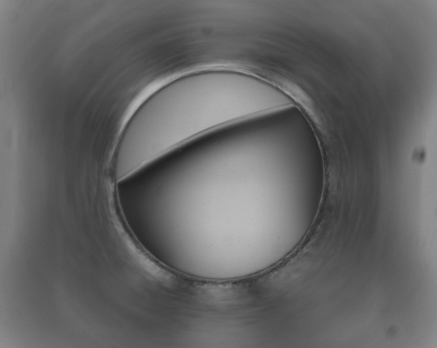 X0000091451428200708161038