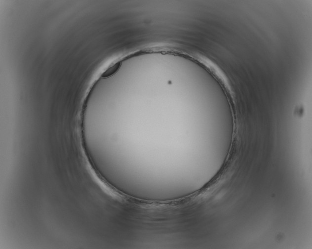 X0000091451429200708161038