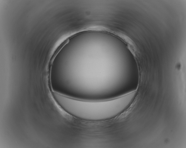 X0000091451430200708161038