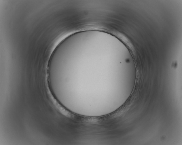 X0000091451431200708161038