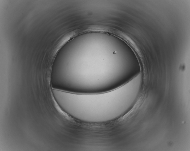X0000091451433200708161038