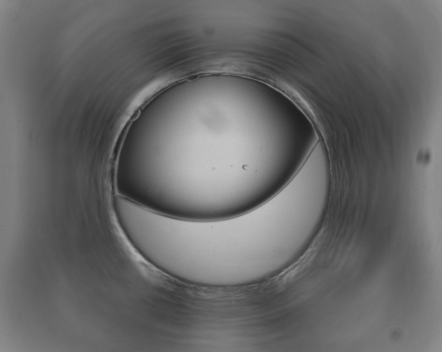 X0000091451434200708161038