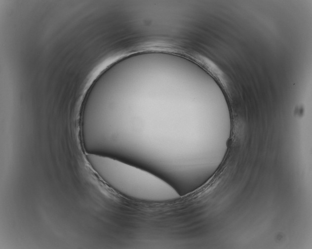 X0000091451435200708161038