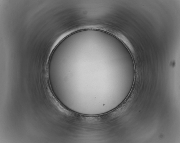 X0000091451436200708161038