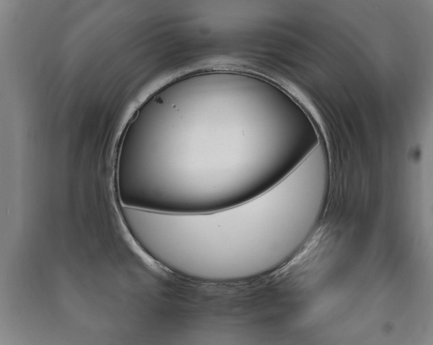 X0000091451437200708161038