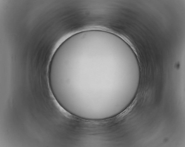 X0000091451438200708161038