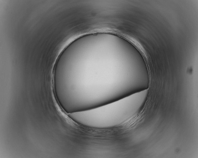 X0000091451439200708161038