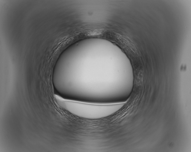 X0000091451441200708161037