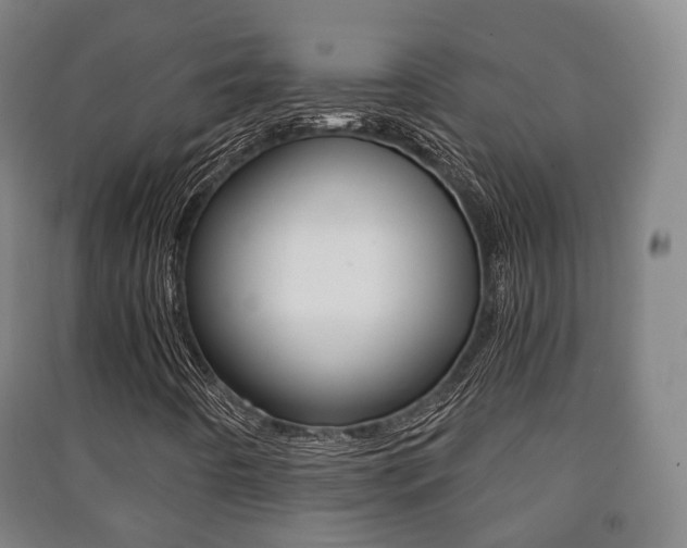 X0000091451442200708161037