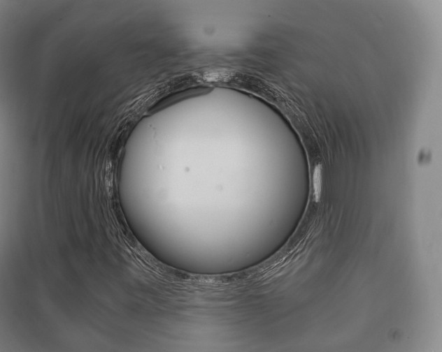 X0000091451443200708161037