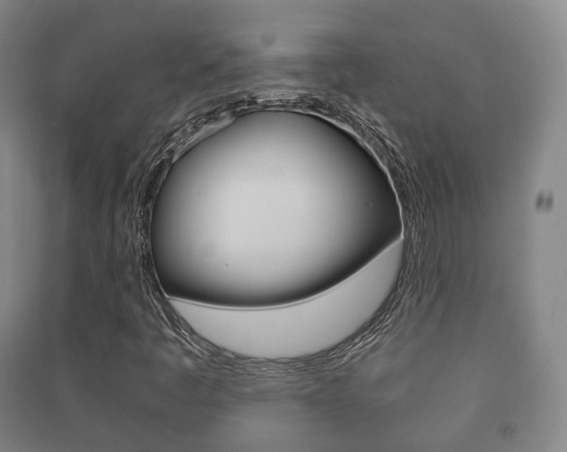 X0000091451445200708161037