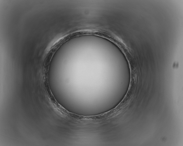 X0000091451448200708161037