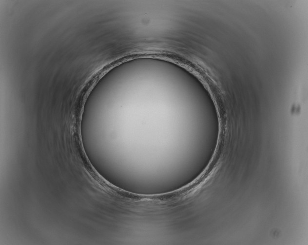 X0000091451449200708161037