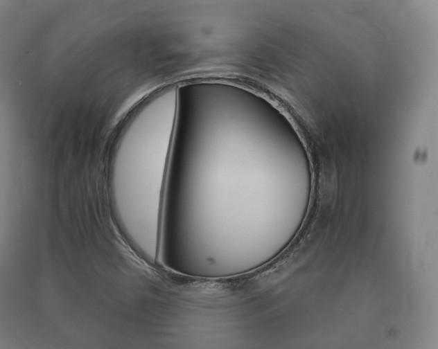 X0000091451450200708161037