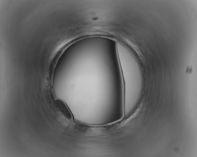 X0000091451453200708161037
