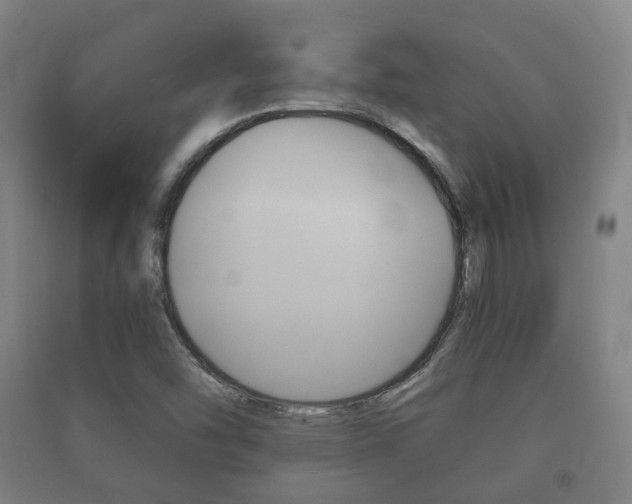 X0000091451454200708161037