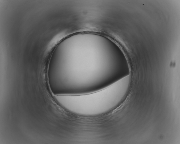 X0000091451455200708161037