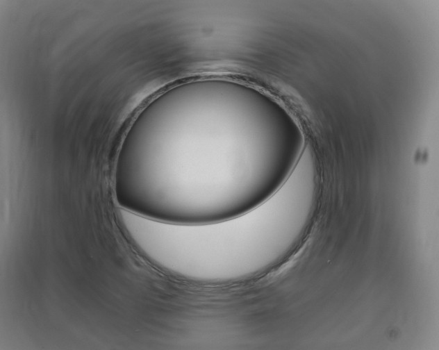X0000091451457200708161037