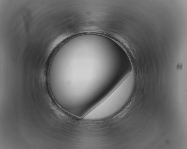 X0000091451458200708161037