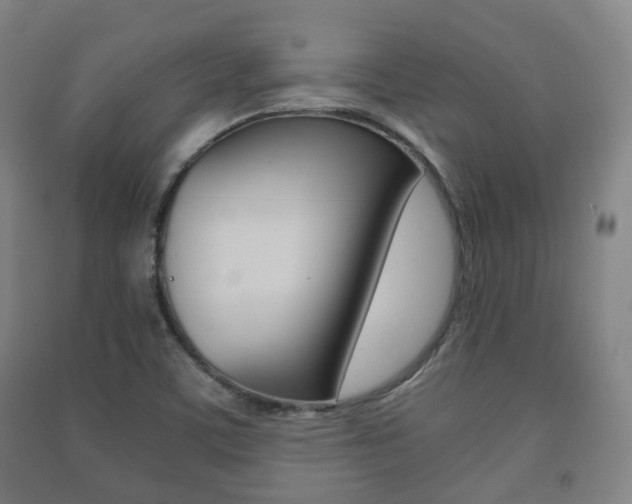 X0000091451459200708161037