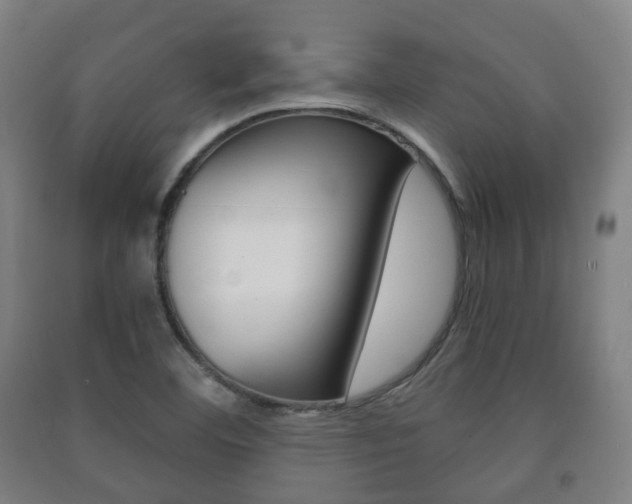 X0000091451460200708161037