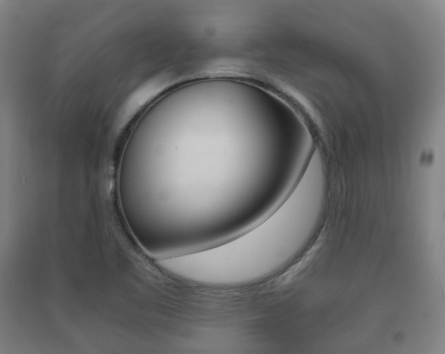 X0000091451461200708161037