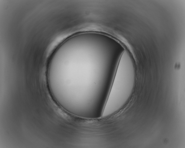 X0000091451464200708161037