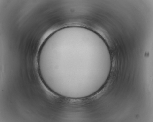 X0000091451466200708161037