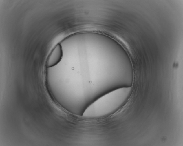 X0000091451467200708161037