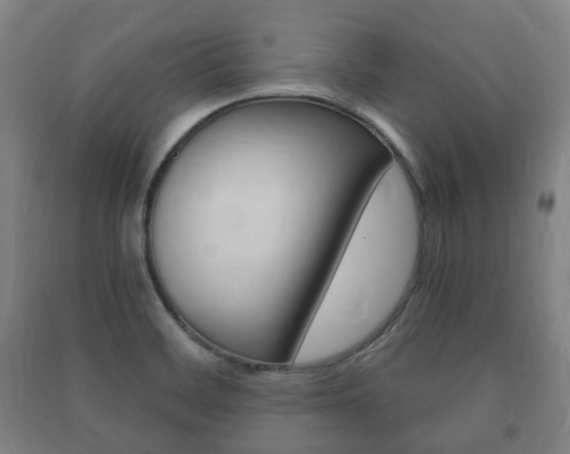 X0000091451468200708161037