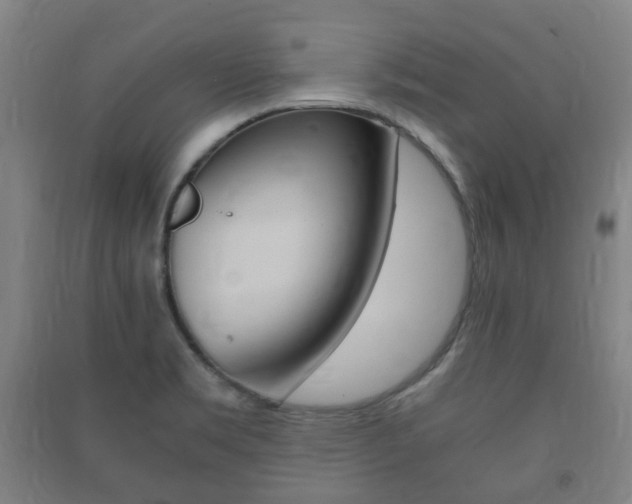 X0000091451469200708161037